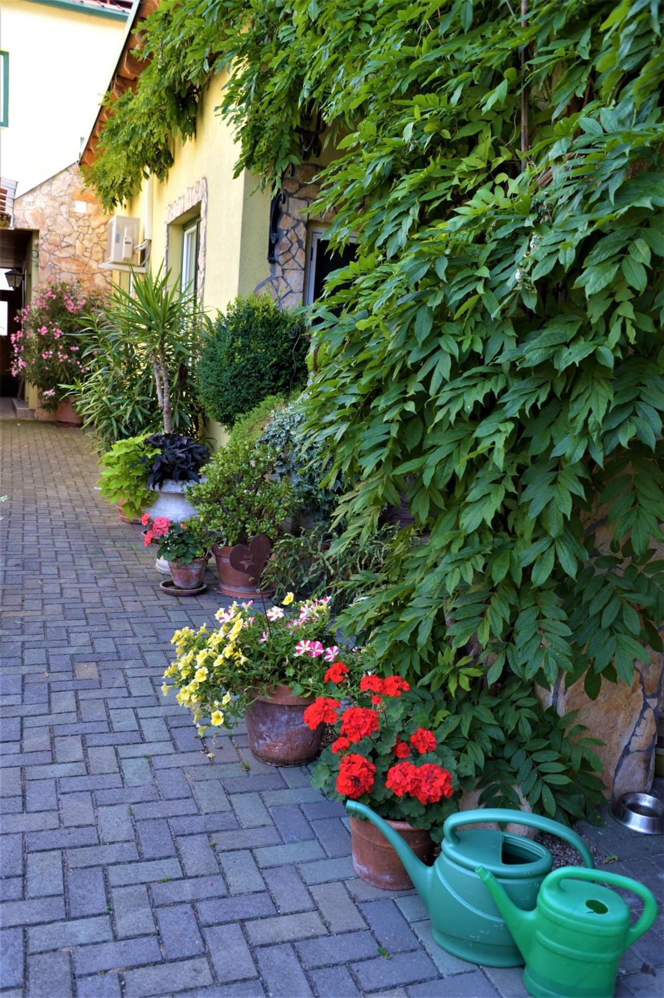 Ferienwohnung Koppi Pamhagen Exteriör bild
