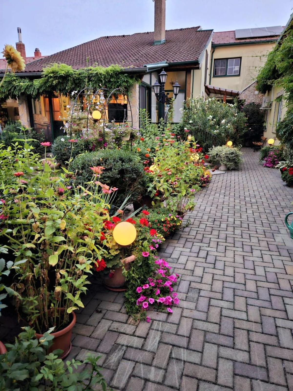 Ferienwohnung Koppi Pamhagen Exteriör bild