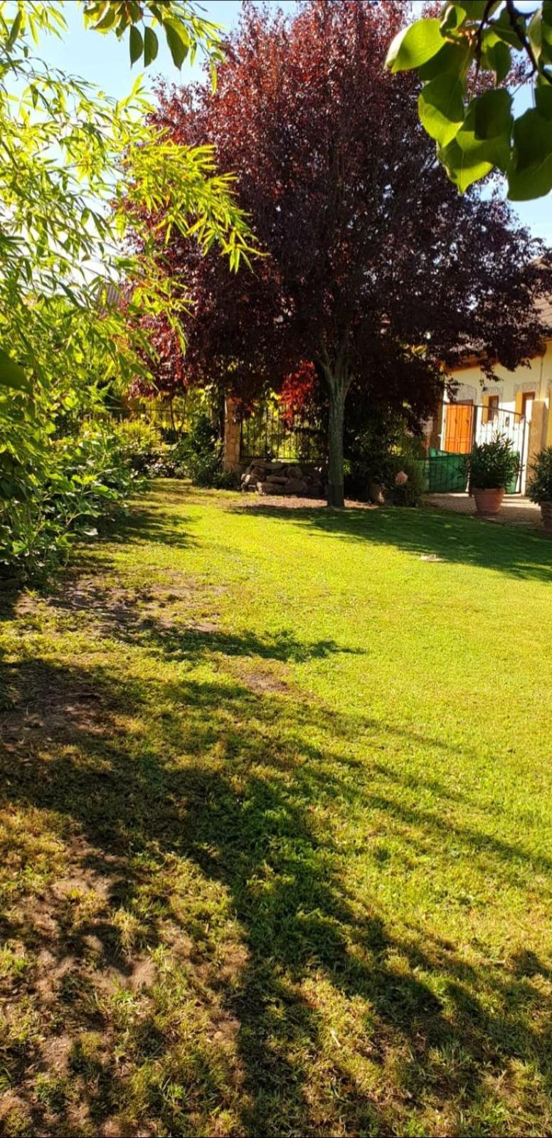Ferienwohnung Koppi Pamhagen Exteriör bild