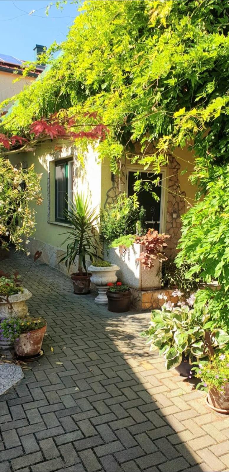 Ferienwohnung Koppi Pamhagen Exteriör bild
