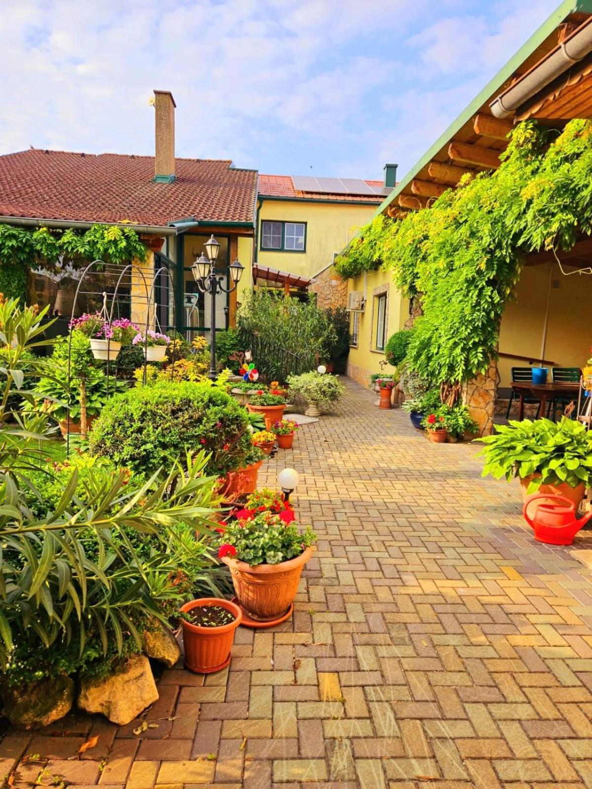 Ferienwohnung Koppi Pamhagen Exteriör bild