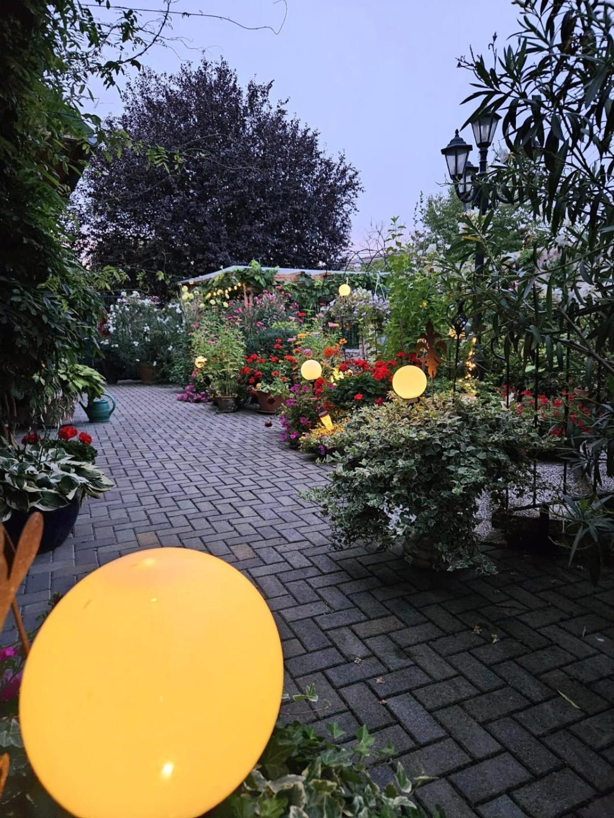 Ferienwohnung Koppi Pamhagen Exteriör bild
