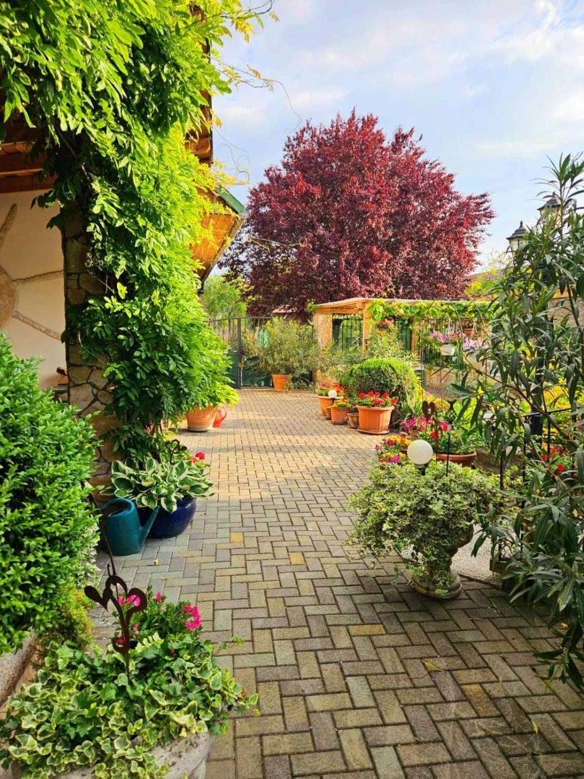 Ferienwohnung Koppi Pamhagen Exteriör bild