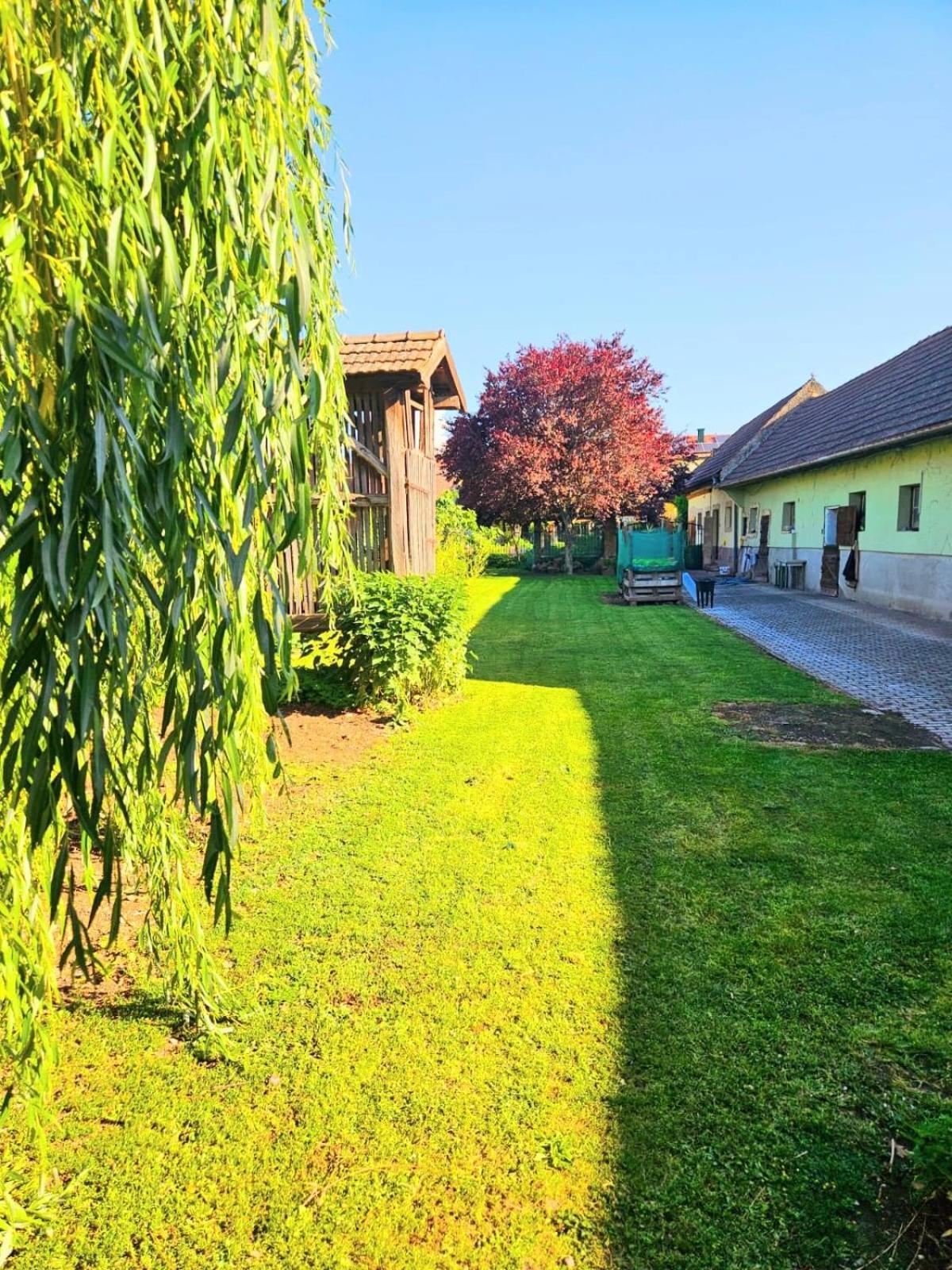 Ferienwohnung Koppi Pamhagen Exteriör bild