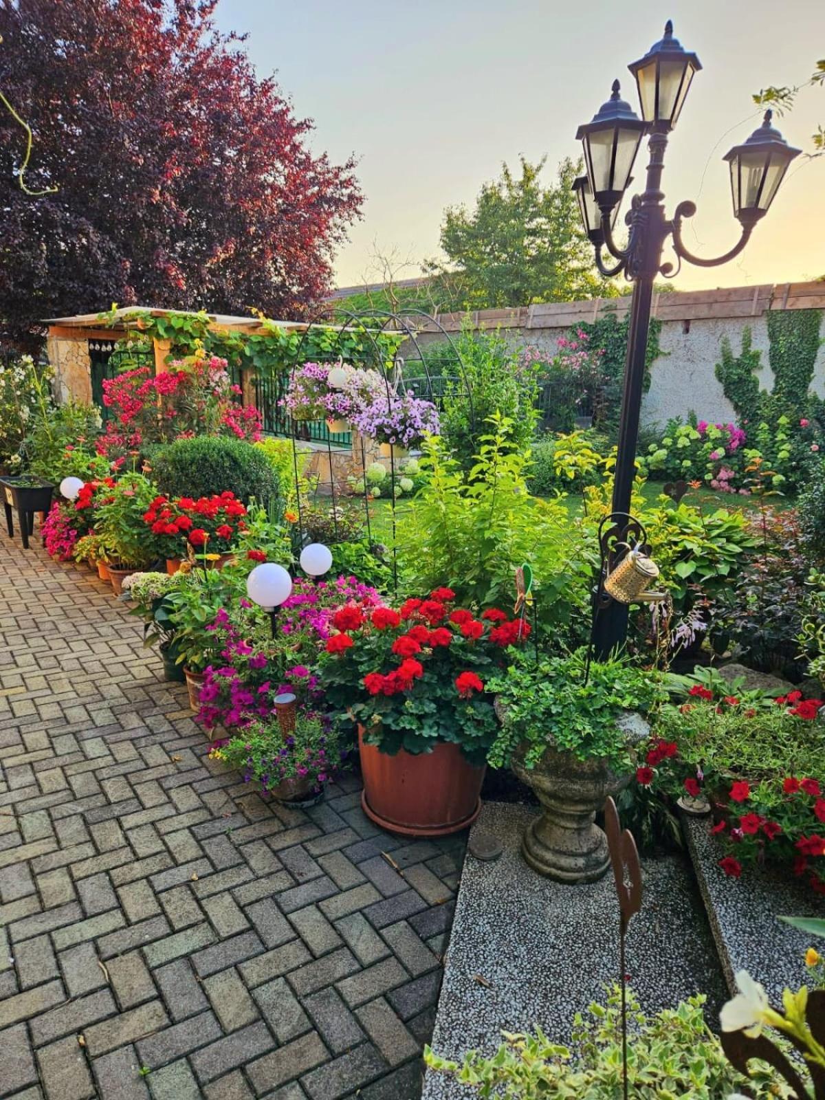 Ferienwohnung Koppi Pamhagen Exteriör bild