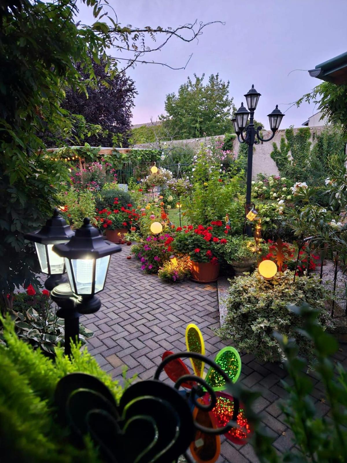 Ferienwohnung Koppi Pamhagen Exteriör bild
