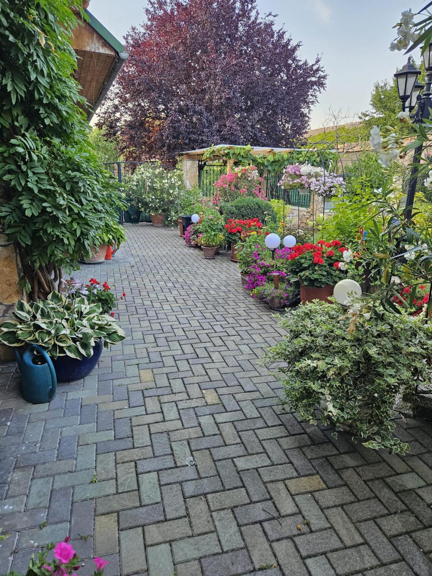 Ferienwohnung Koppi Pamhagen Exteriör bild